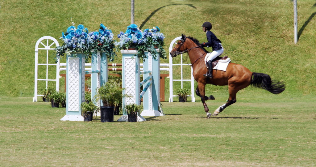 The rider uses a light touch on the reins.