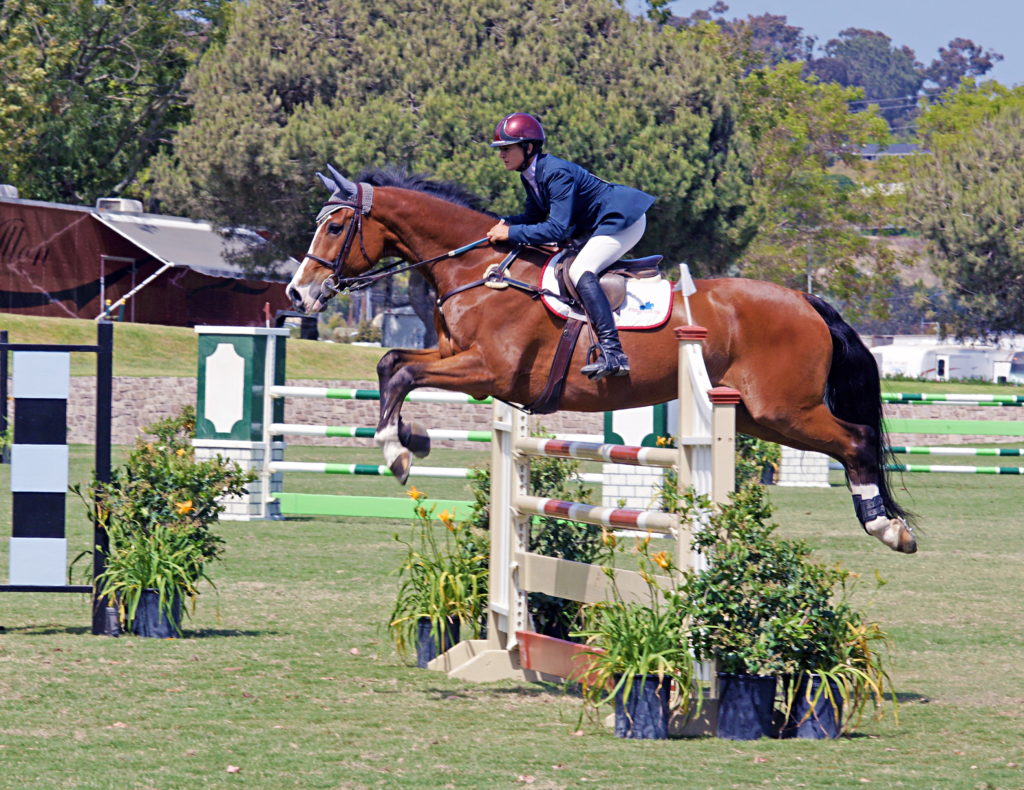 Horse and rider in a perfectly-executed jump,
