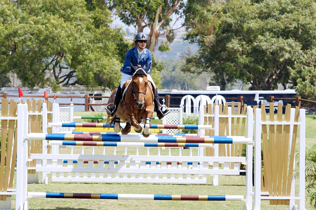 The horse must lift its back legs to ensure they clear the bar.