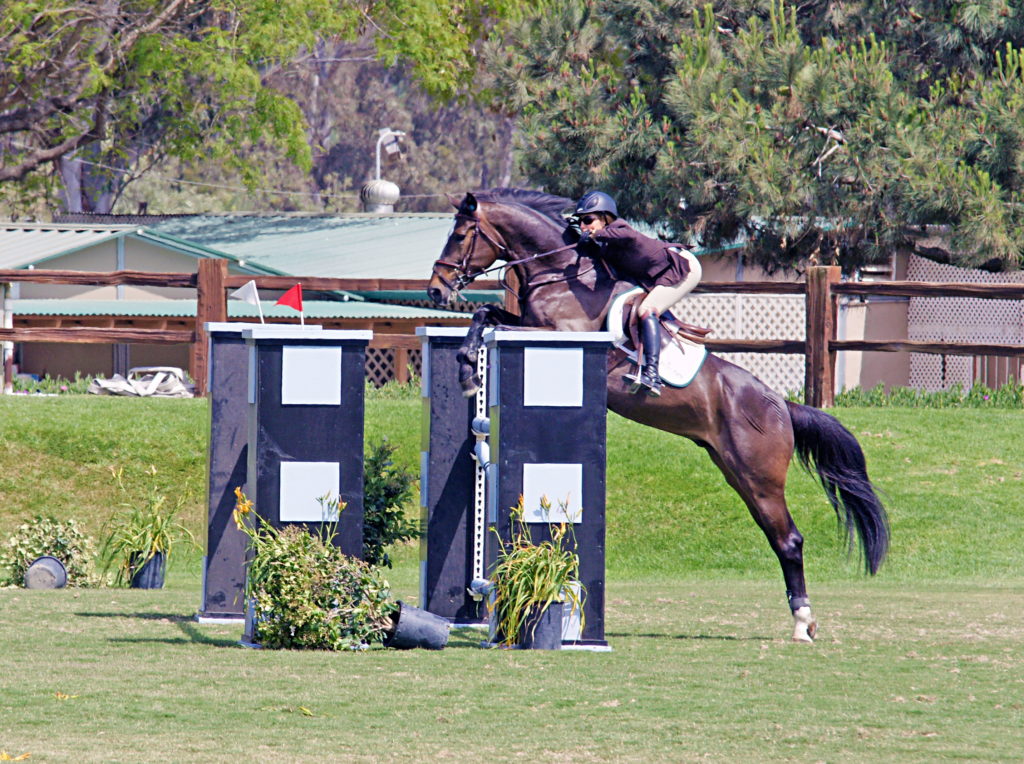 The rider positions herself to give maximum freedom to the horse.