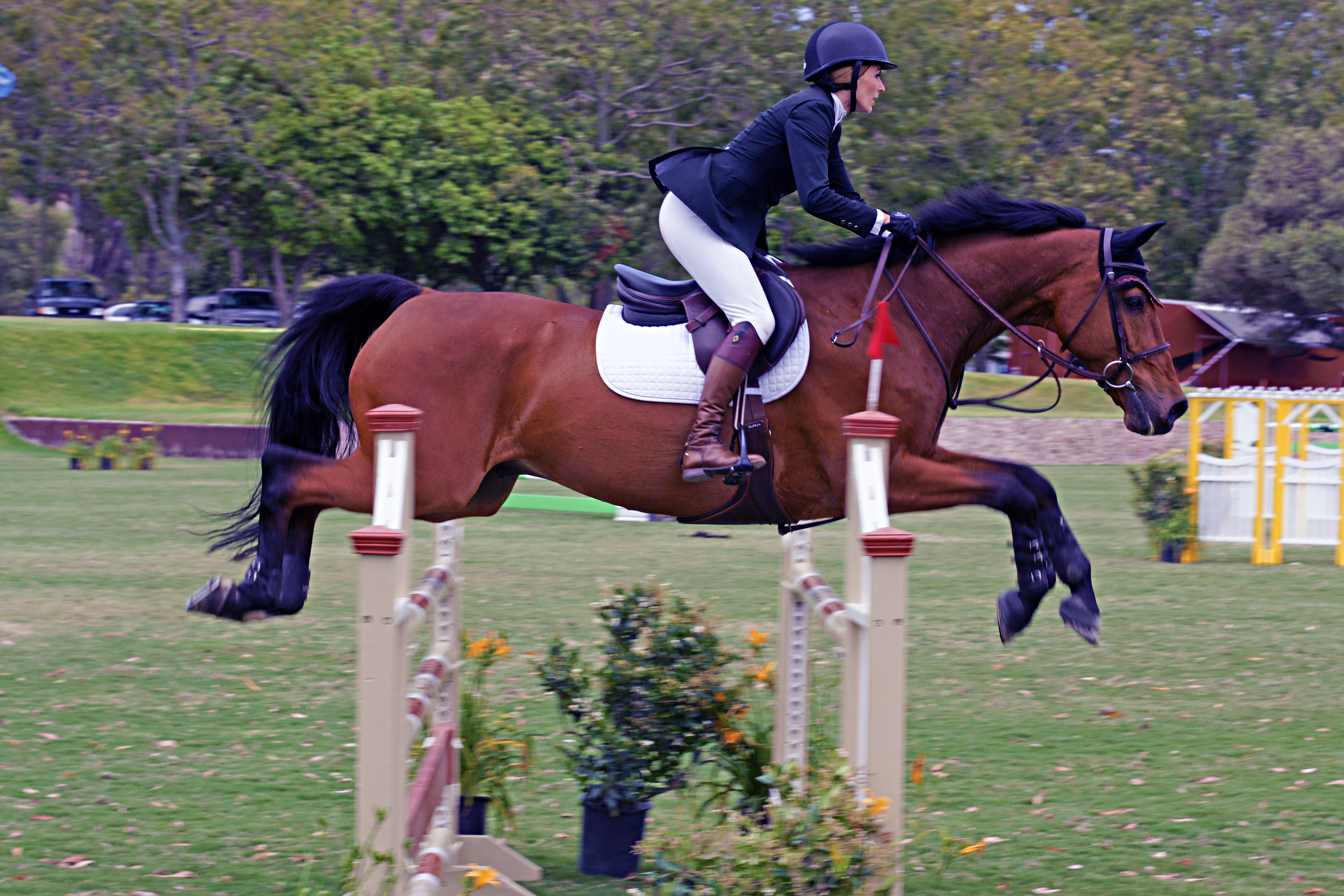 Where the Turf (Almost) Meets the Surf