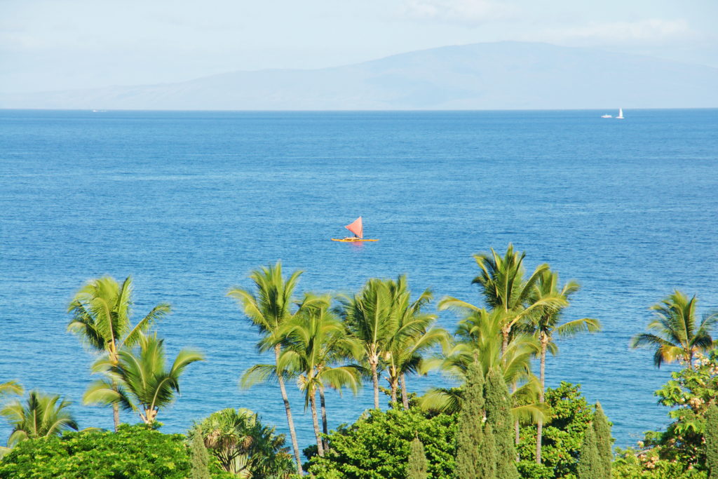 The vast, blue ocean.