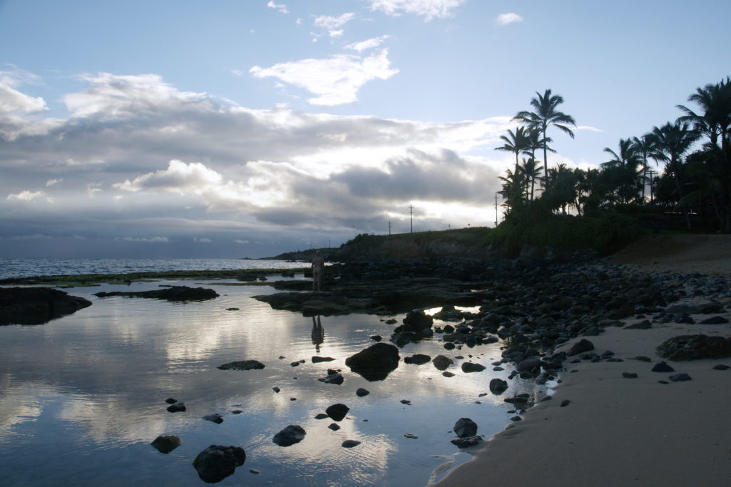 Our beach looking north.