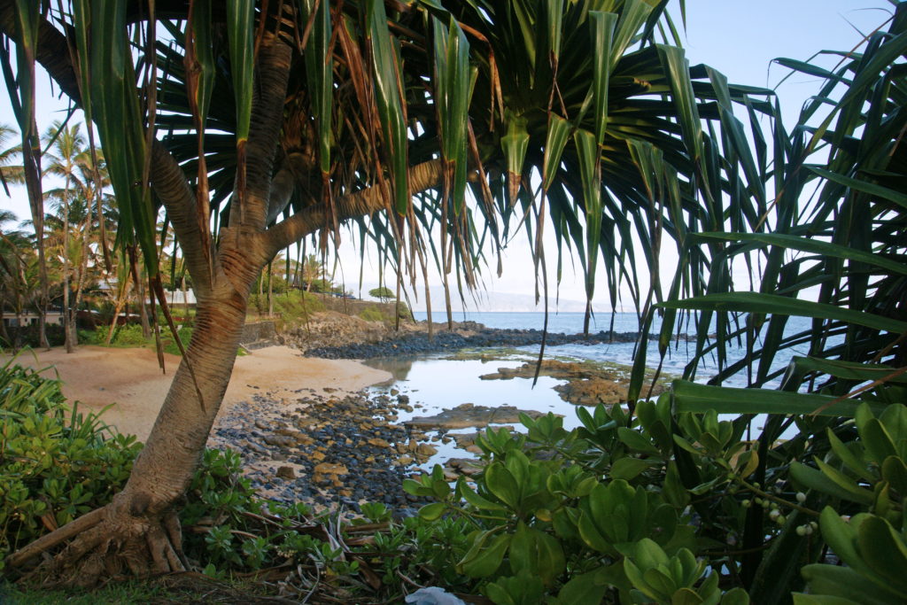 Our beach looking south.