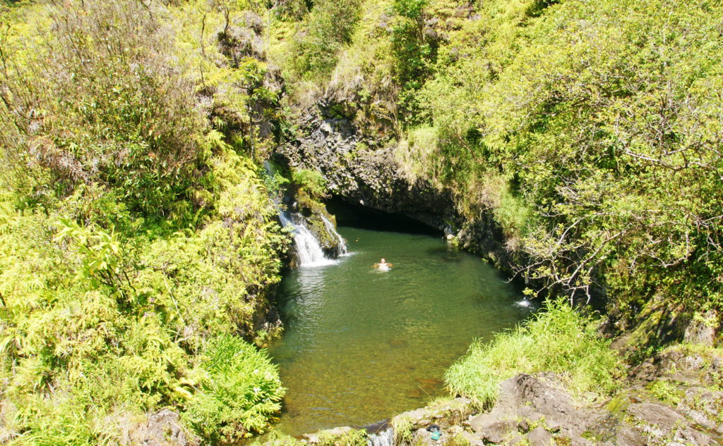 A secluded pond for swim.