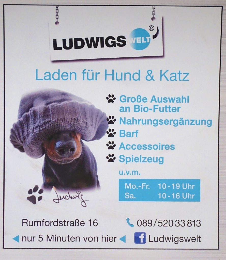 Canine fashion, Munich-style.