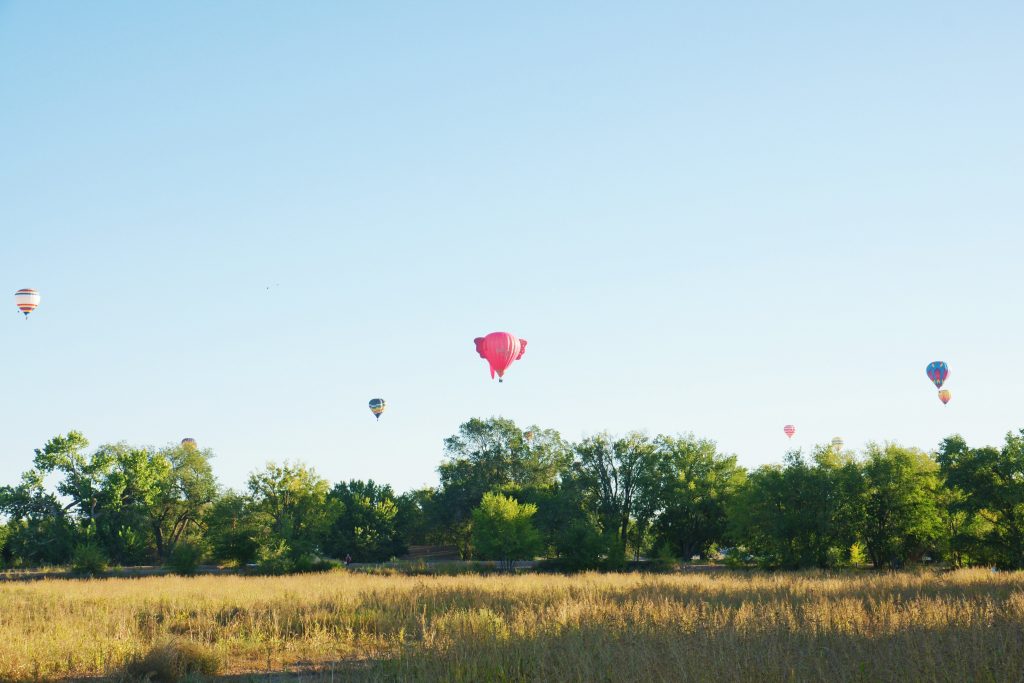 The Pink Elephant returns!