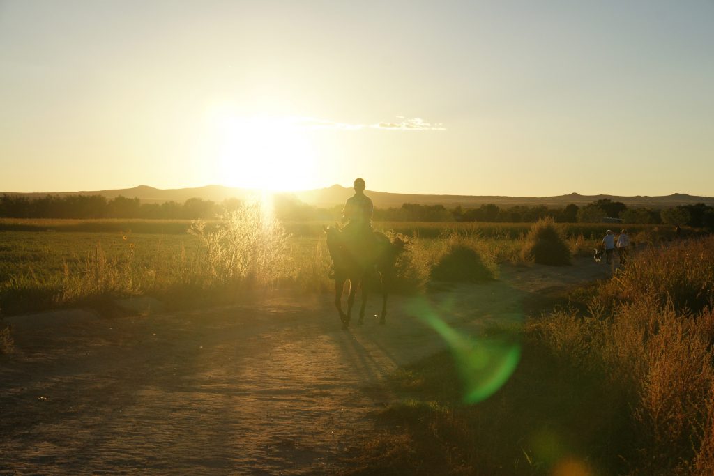 A rider exercises his horse.