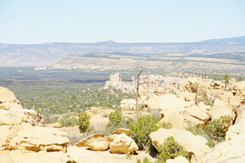 Another view of the New Mexico desert.