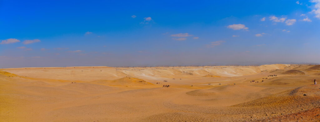 Albuquerque, close up.