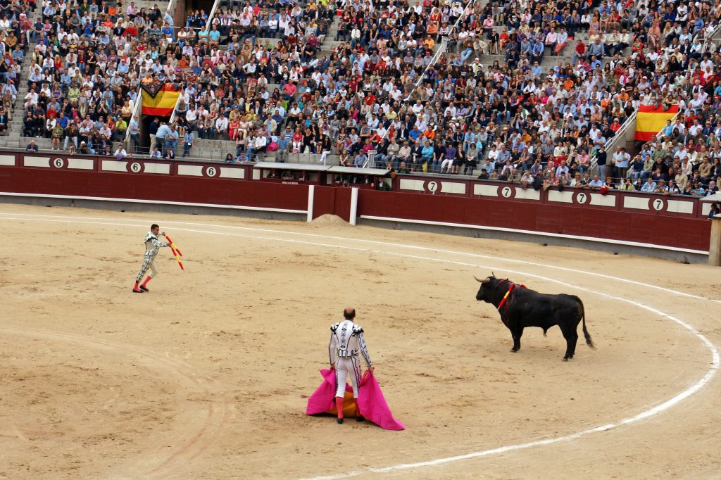 The flags are designed to remain lodged in the bull’s neck muscle.