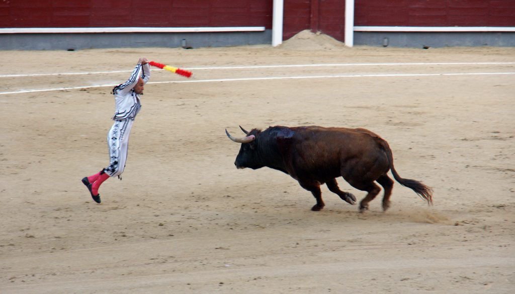 The bull charges!