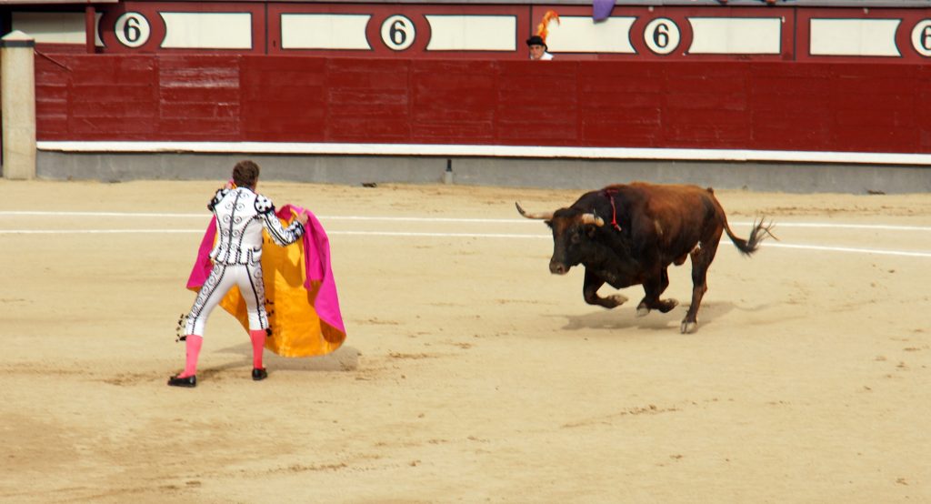 The matador enters the ring, alone with the bull.