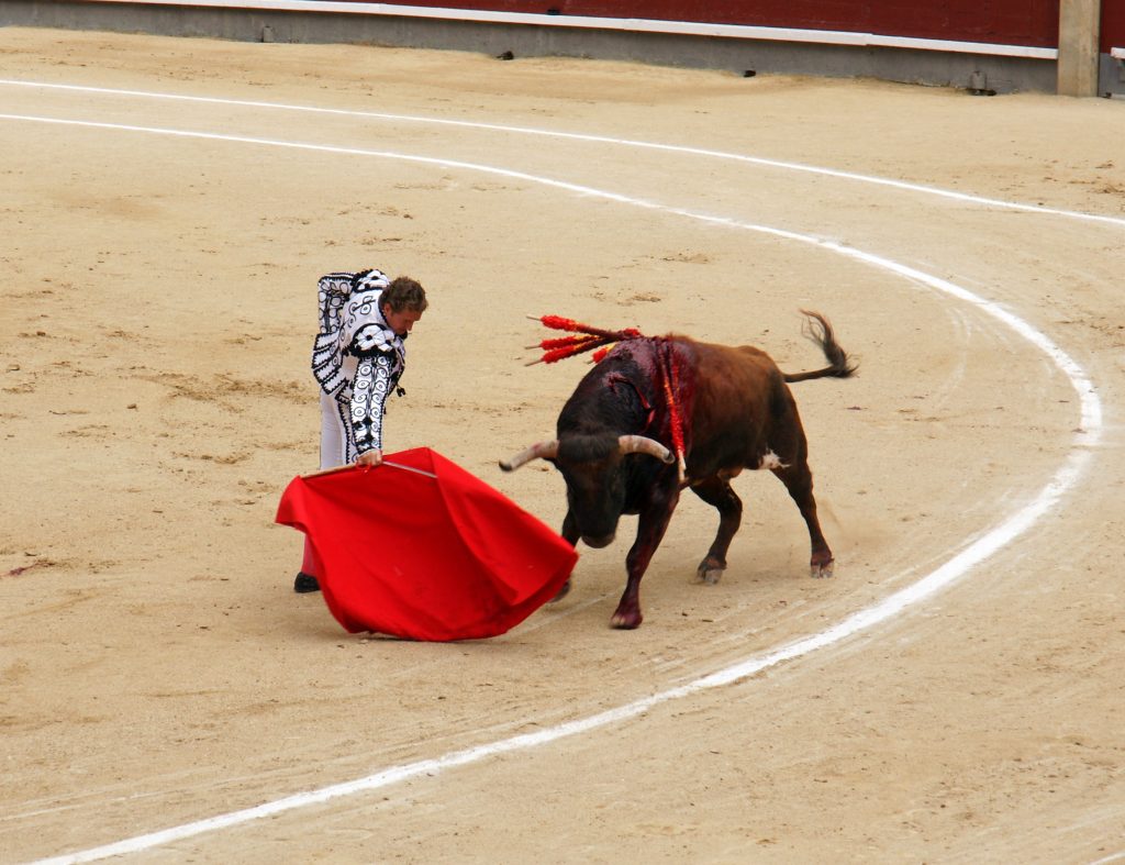 The matador is able to control the bull with his cape.