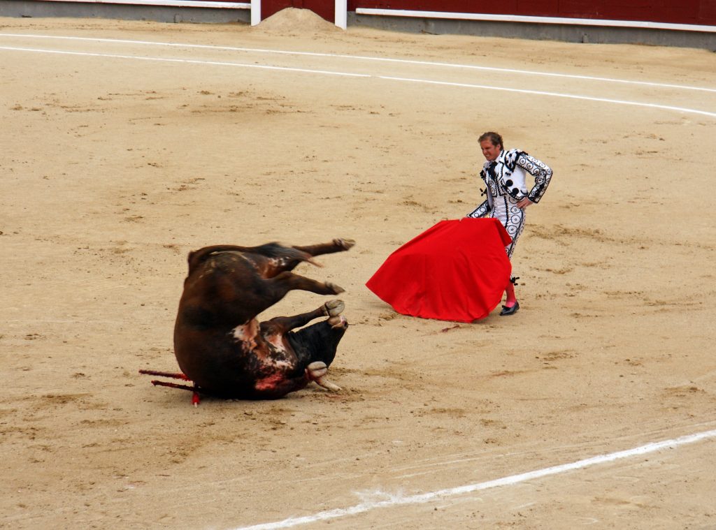 The bull tumbles.