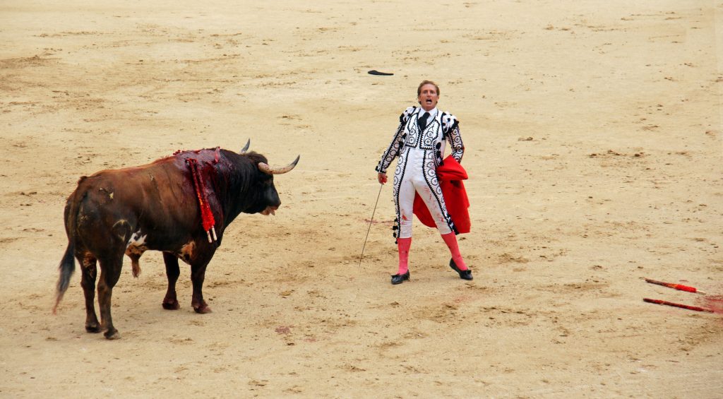 The matador calls to the audience.