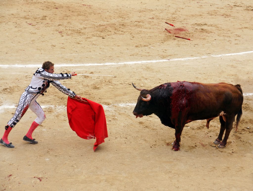 The matador prepares for the estocada.