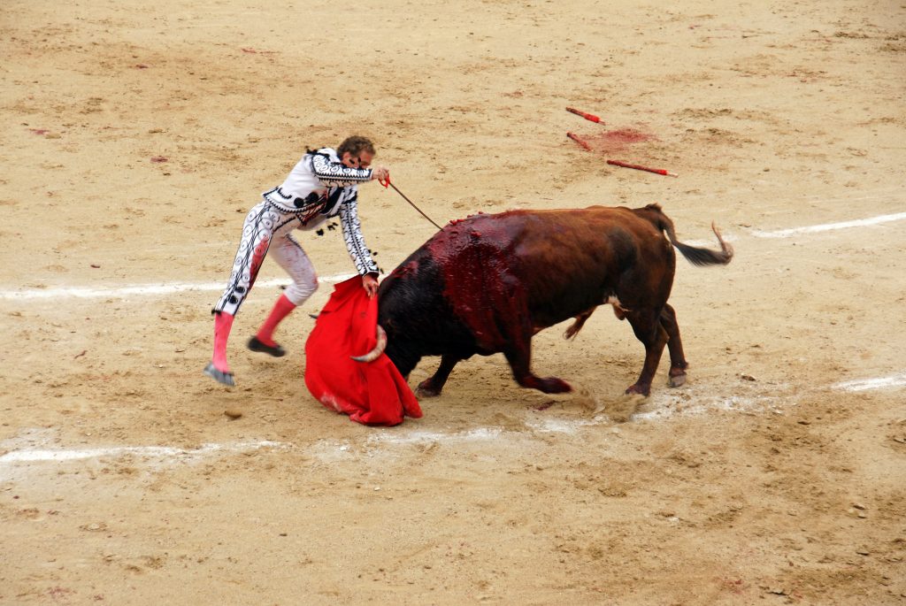 The bull charges weakly, and the stab is made.
