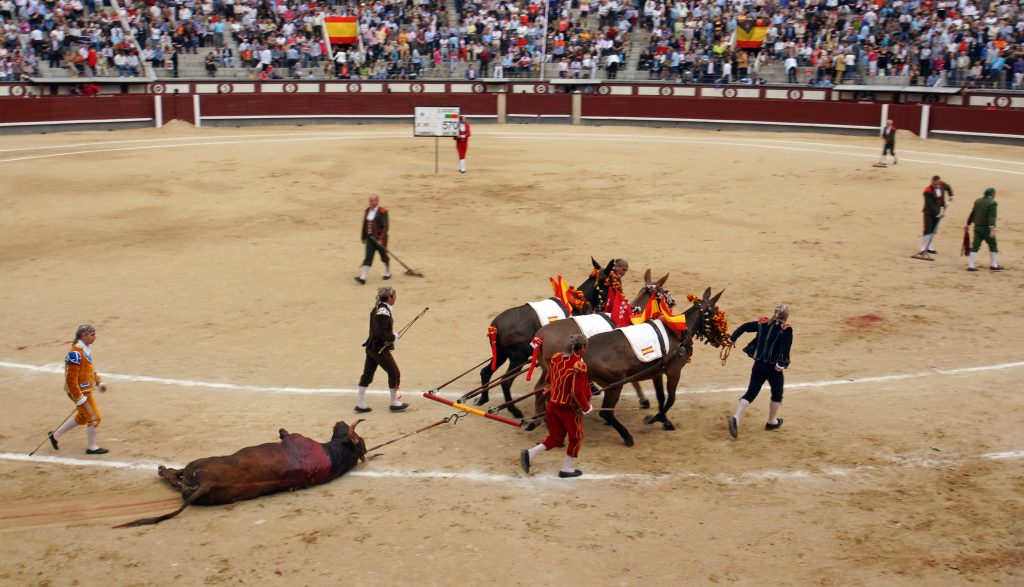 The ring is prepared for the next bullfight.