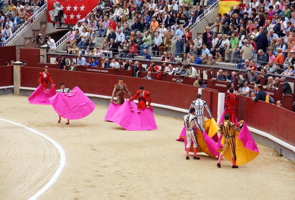 Matadors shake their capes.