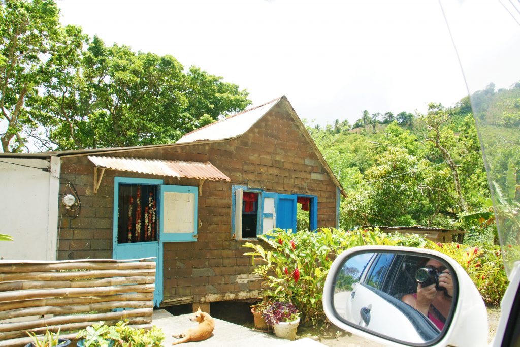 A dwelling in the forest of Dominica.
