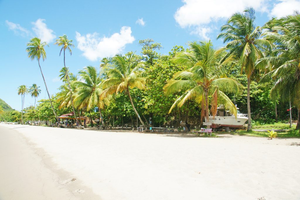 The beach near Cabrits National Park.