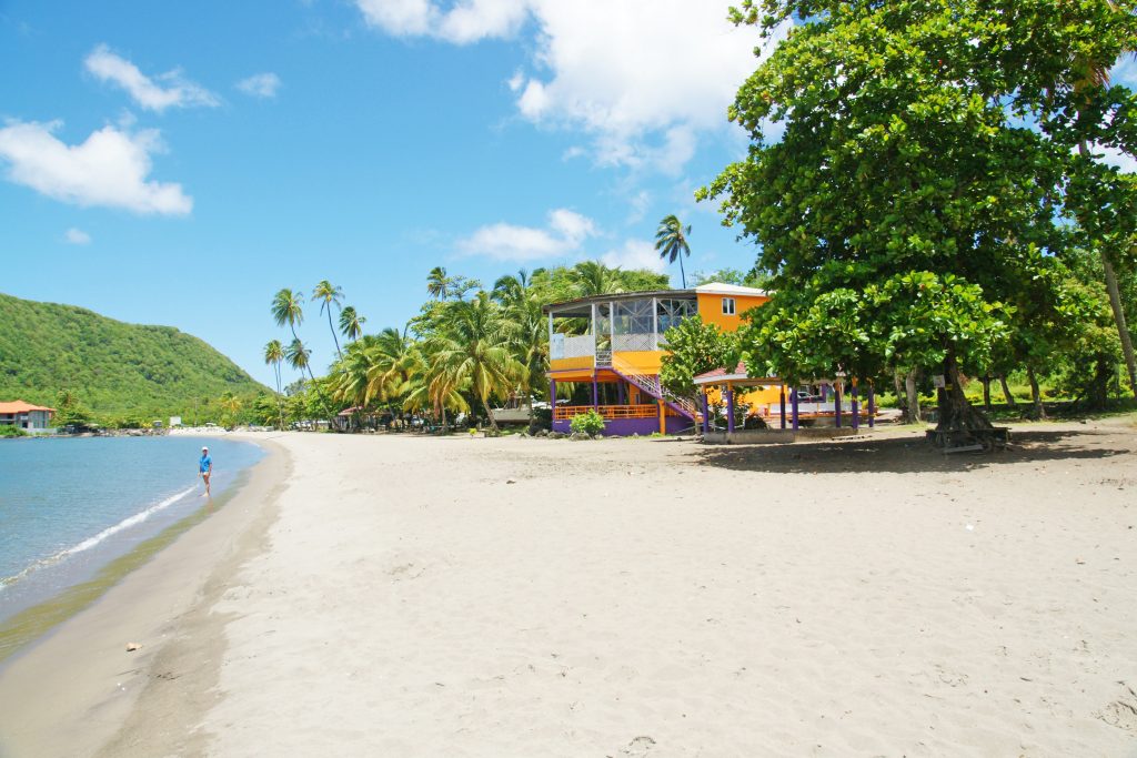 Alone on the beach.