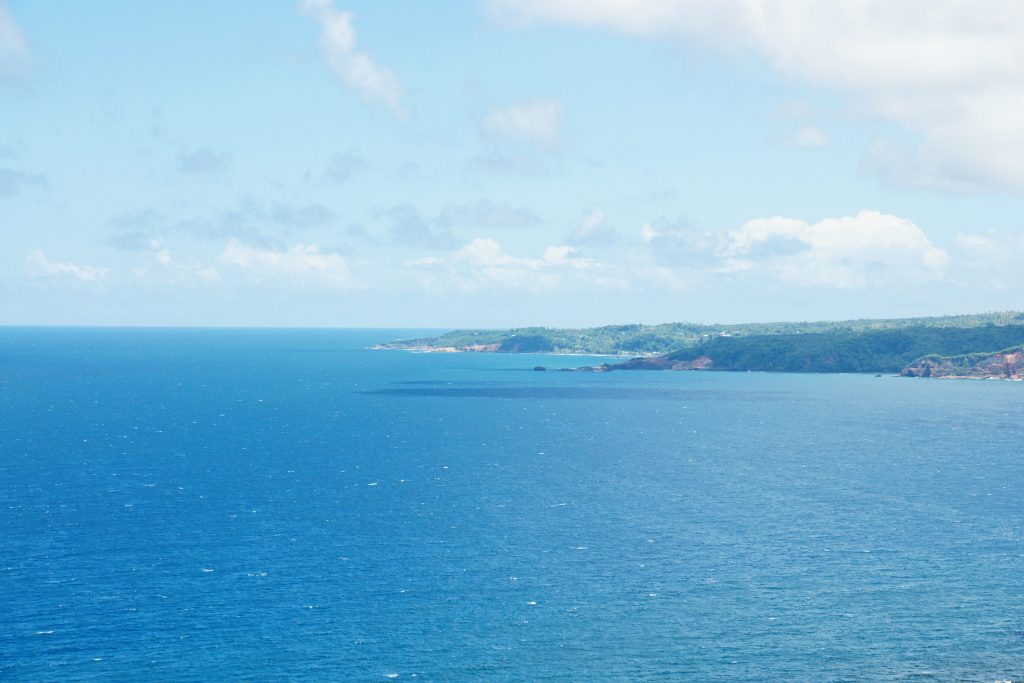 The northwestern side of Dominica, looking south.