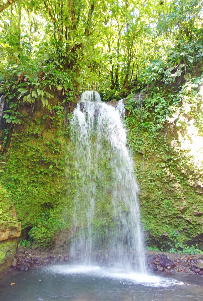 The pool at the bottom of the falls.