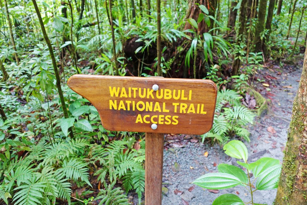 The trailhead leading to the falls.