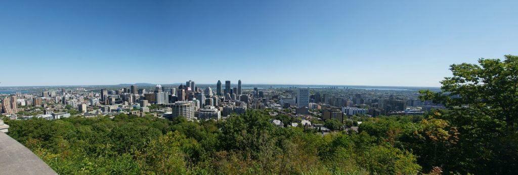 The view from the top of Mount Royal.