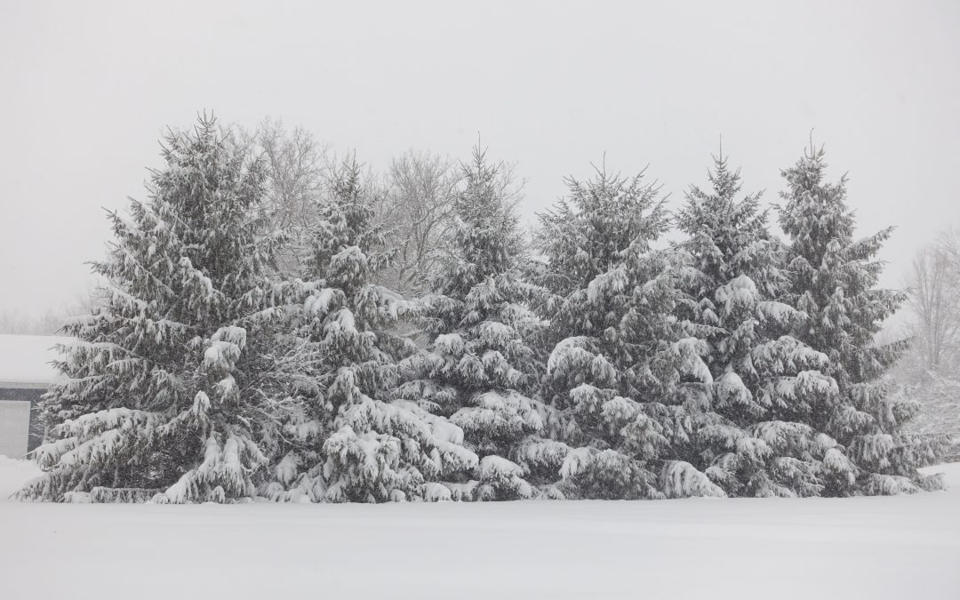 Blizzard in Chicago