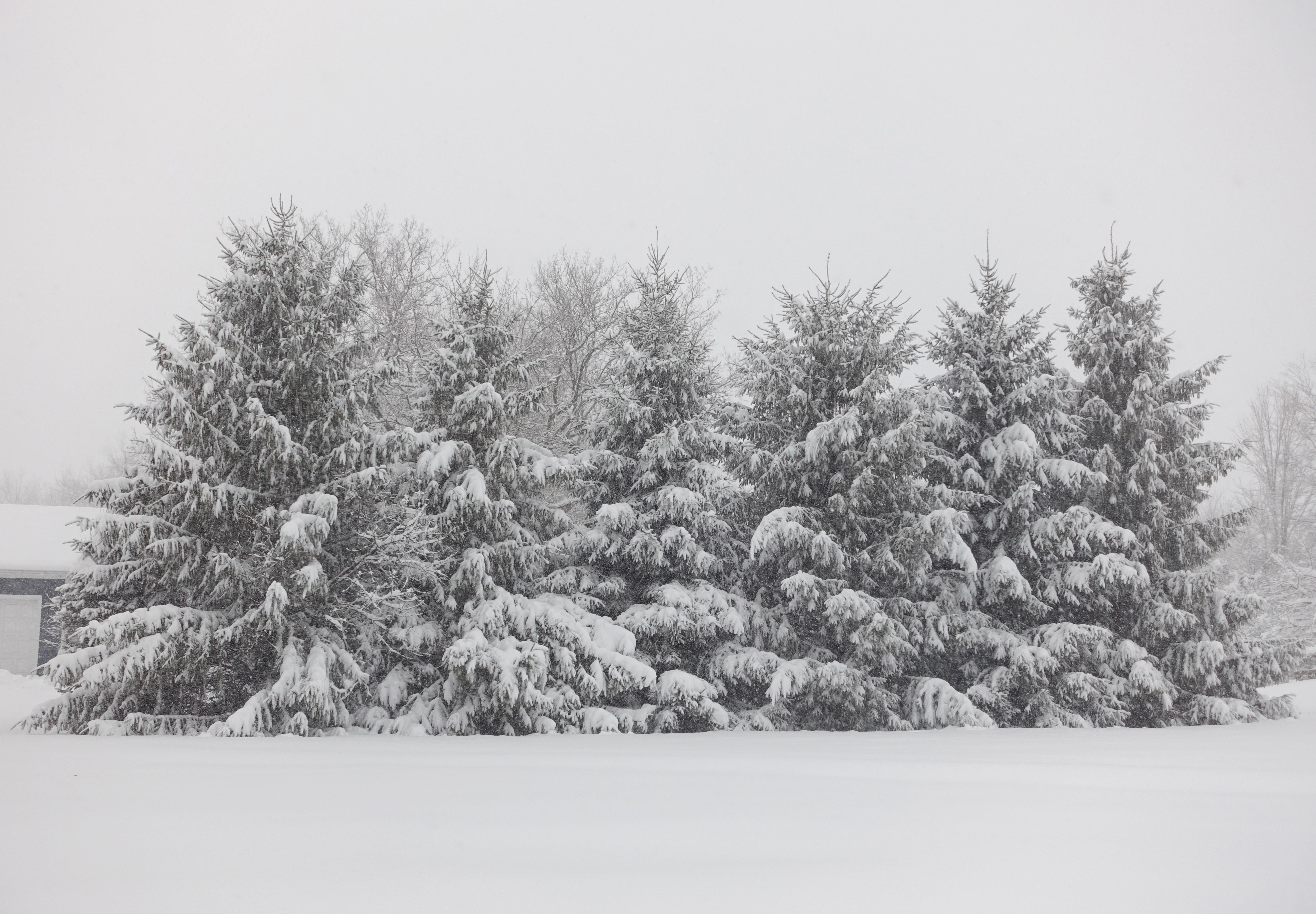 Blizzard in Chicago