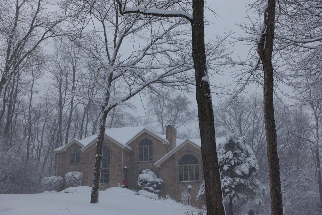 Snow is fun when you don't have to shovel it.