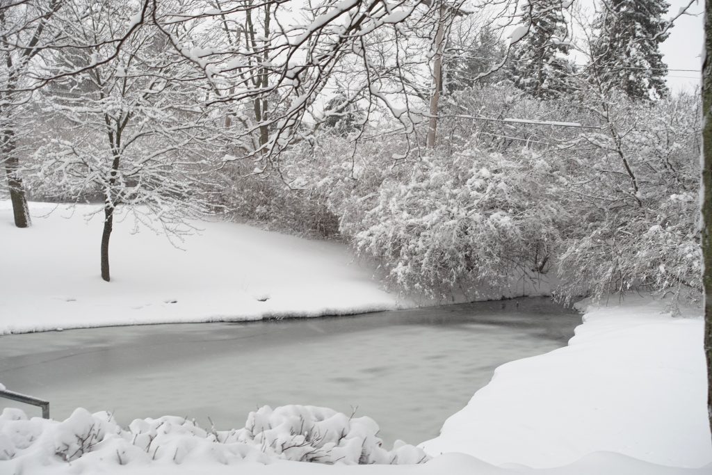 An iced-over creek  cuts through the snow.