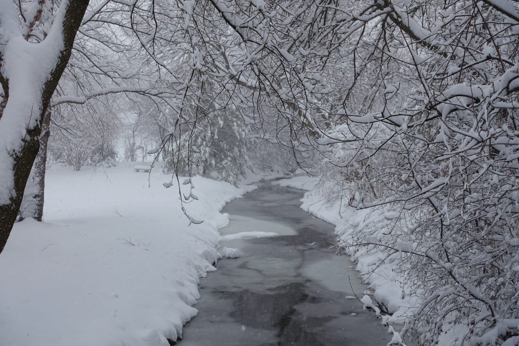 A wintery creek on a wintery day: wintery.