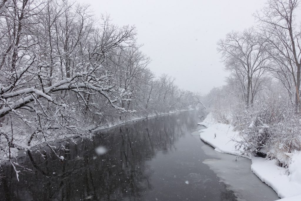 Even the larger rivers are forming ice.