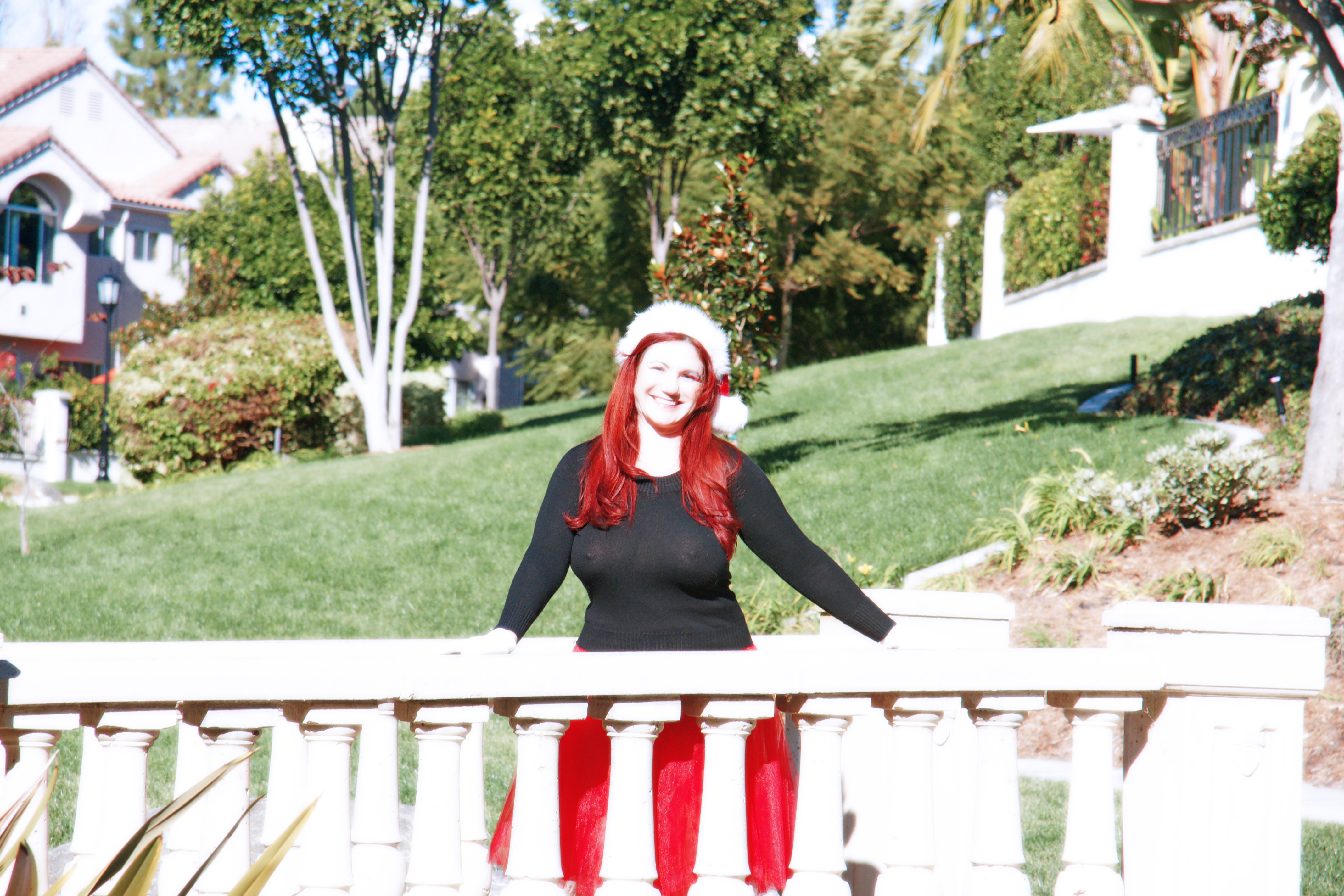 Christmas in San Diego