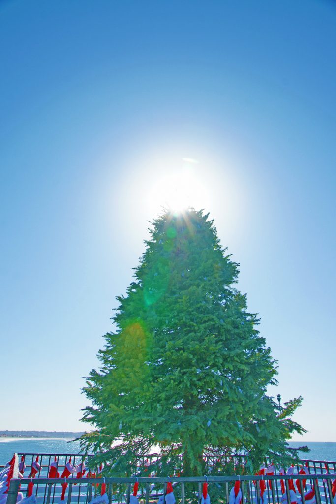 The sun on the top of our Christmas tree.