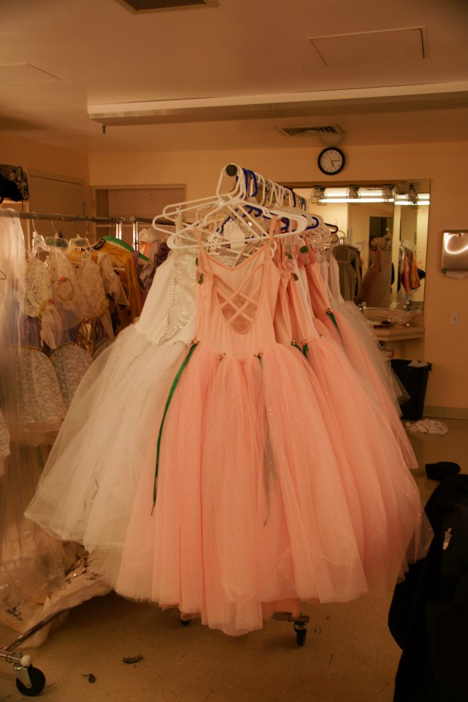 Dresses.  Lots and lots of dresses.