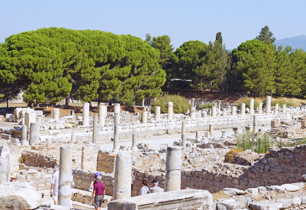 A forest of columns along the street.