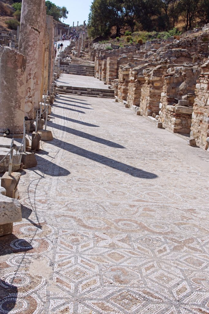 The mosaic sidewalk in front of the Terrace houses.