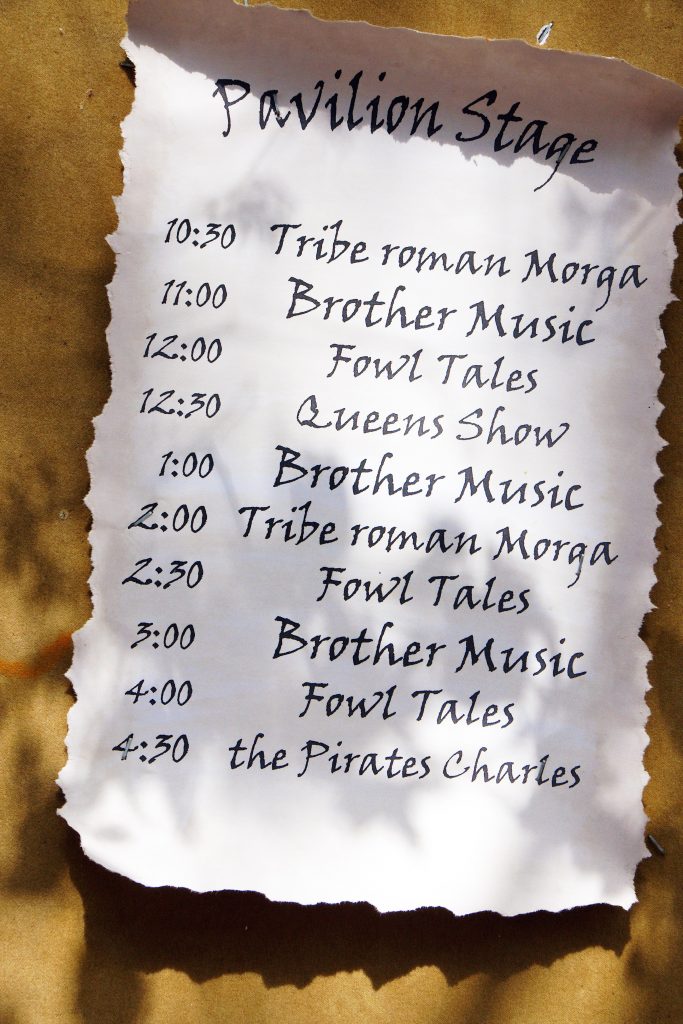 Some of the many performances at the Faire.