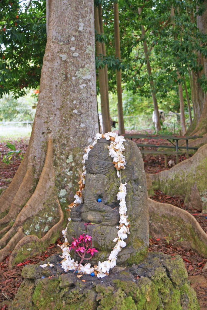 The God Ganesha watches over the forest.