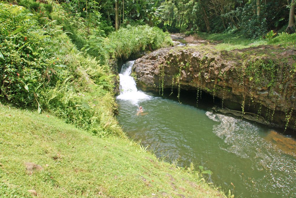 The waterfall calls to us: come play with me.