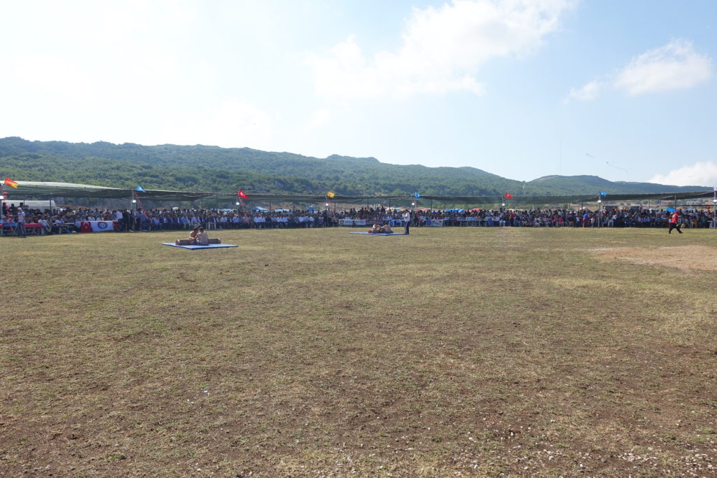 The grounds of the World Muslim Turkish Festival.