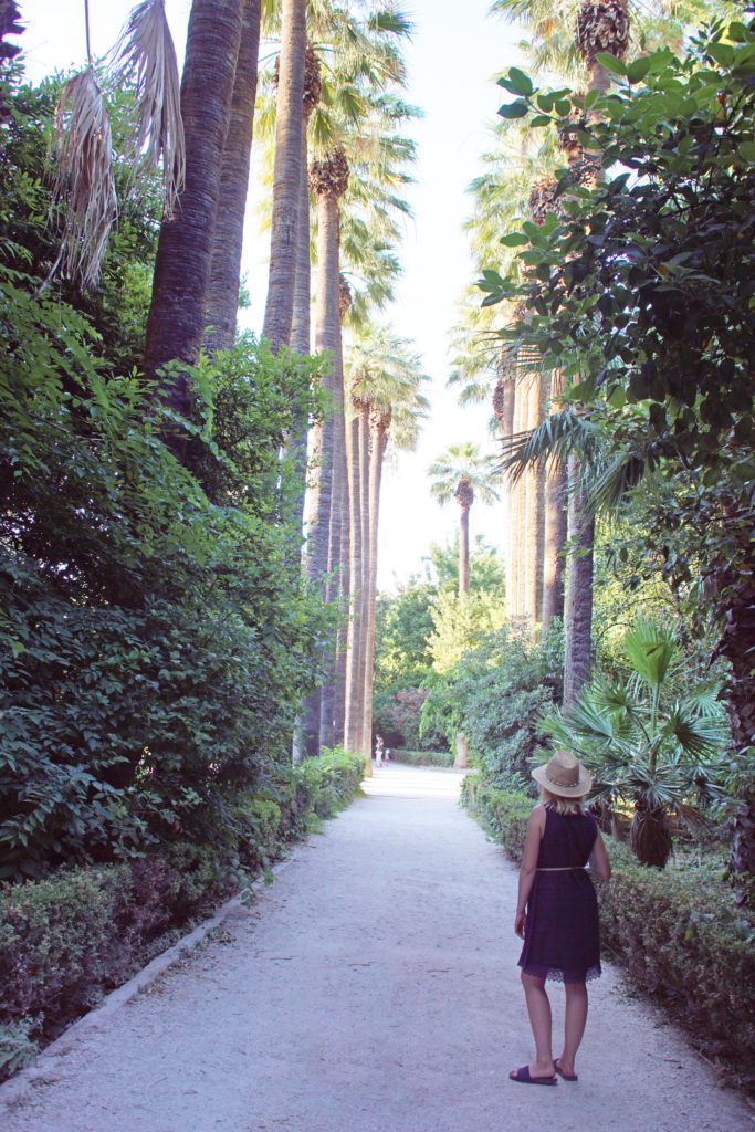 Pretty girls and palm trees...reminds me of home!