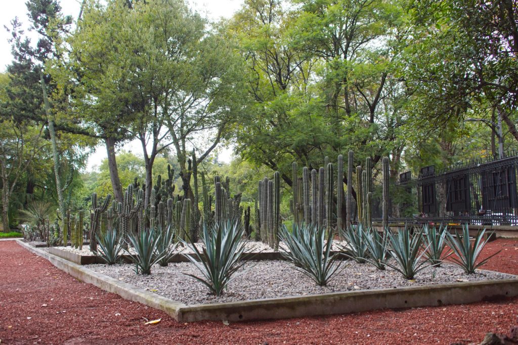 One of the Jardín Botánico's botanical gardens.