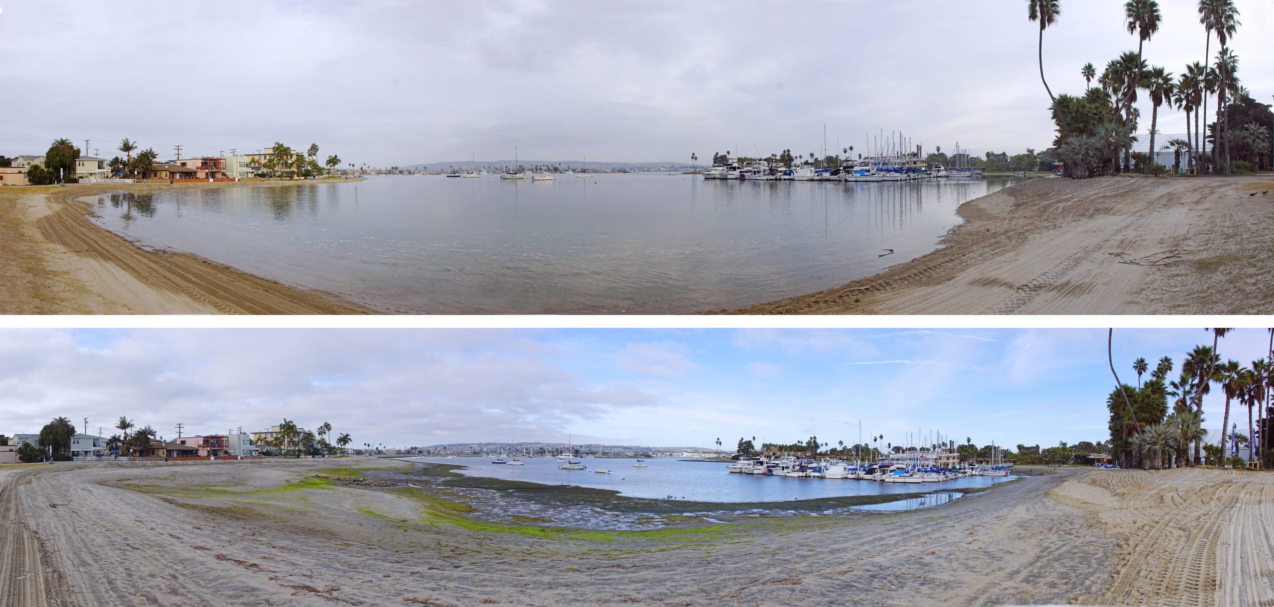Mission Bay has its highs and lows.