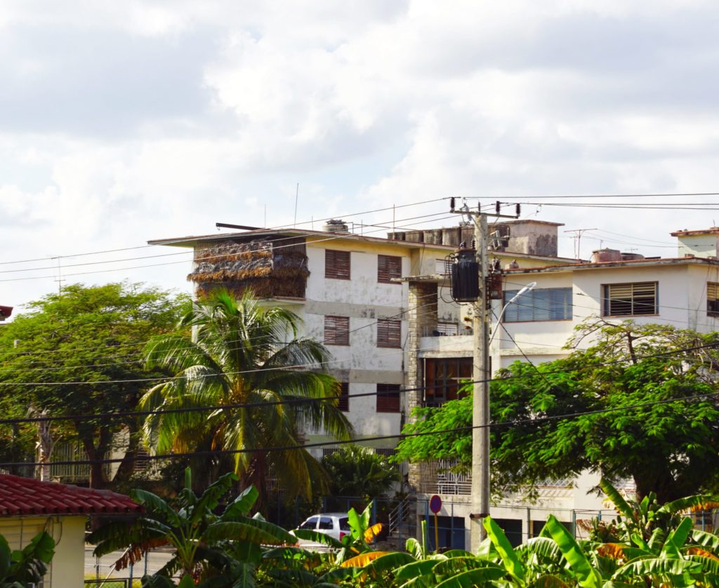 A jungle retreat hidden in Havana.